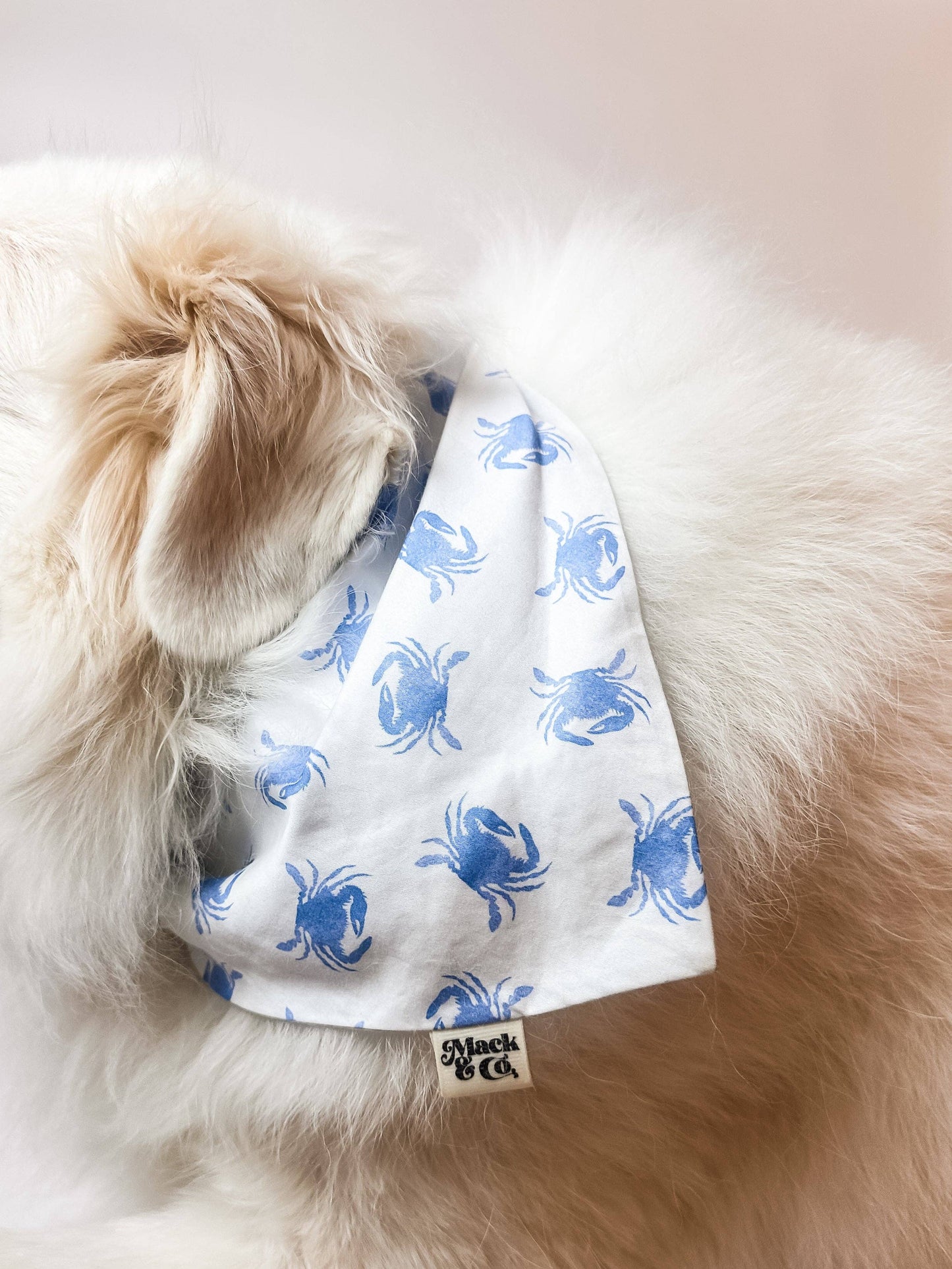 Blue Crab Bay Bandana *Reversible*: Large