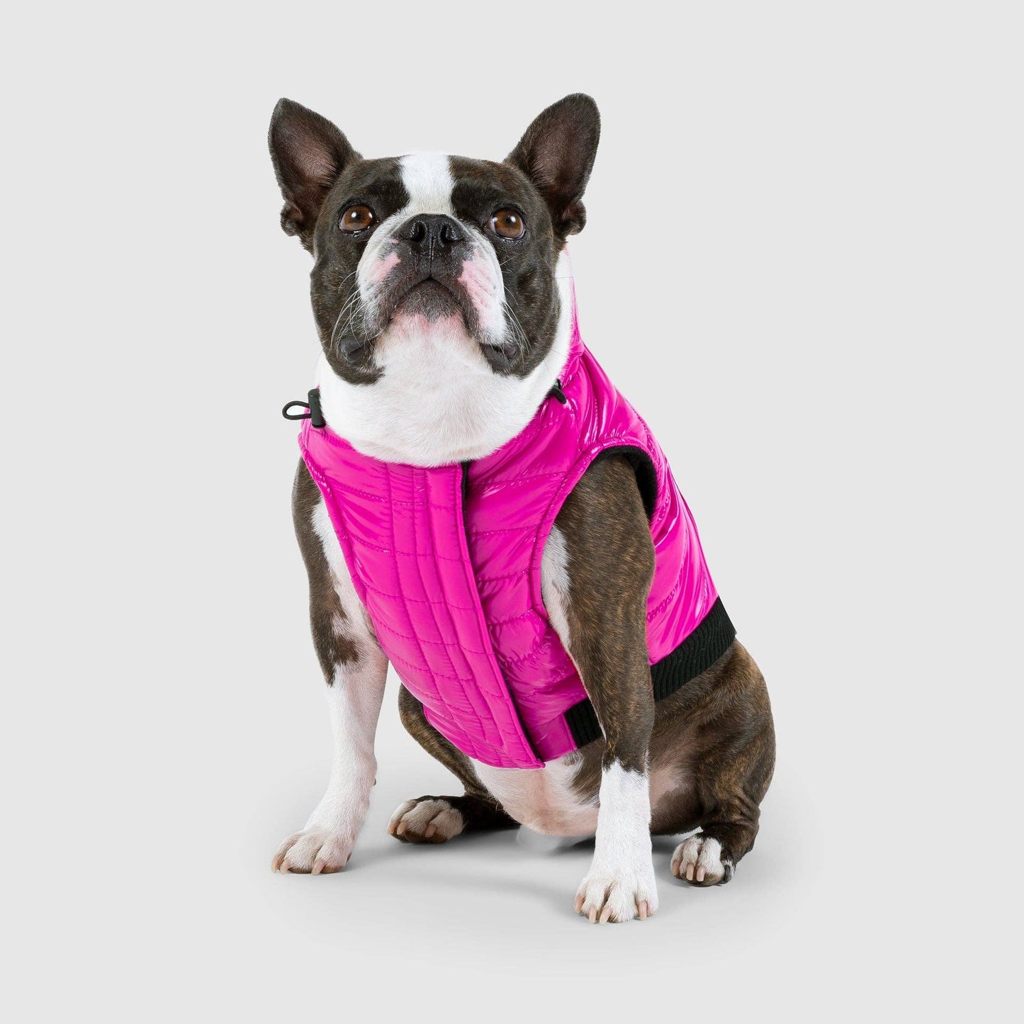 Shiny Puffer Vest- Dog Coat: Iridescent / 16