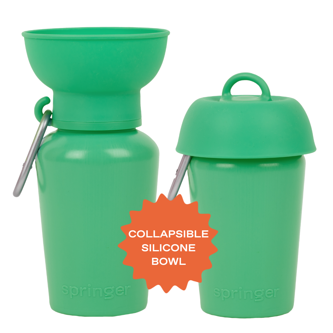 Dog Travel Water Bottle, 20oz, Flip Silicone (Mixed 12 Pack)