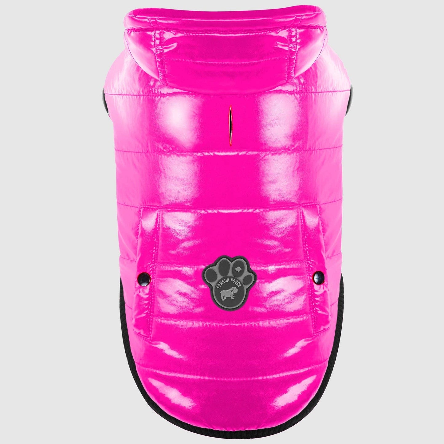 Shiny Puffer Vest- Dog Coat: Iridescent / 16