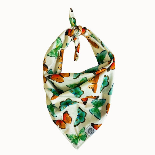 Flutter Dog Bandana | Spring Butterfly Pet Scarf Accessory: White / S