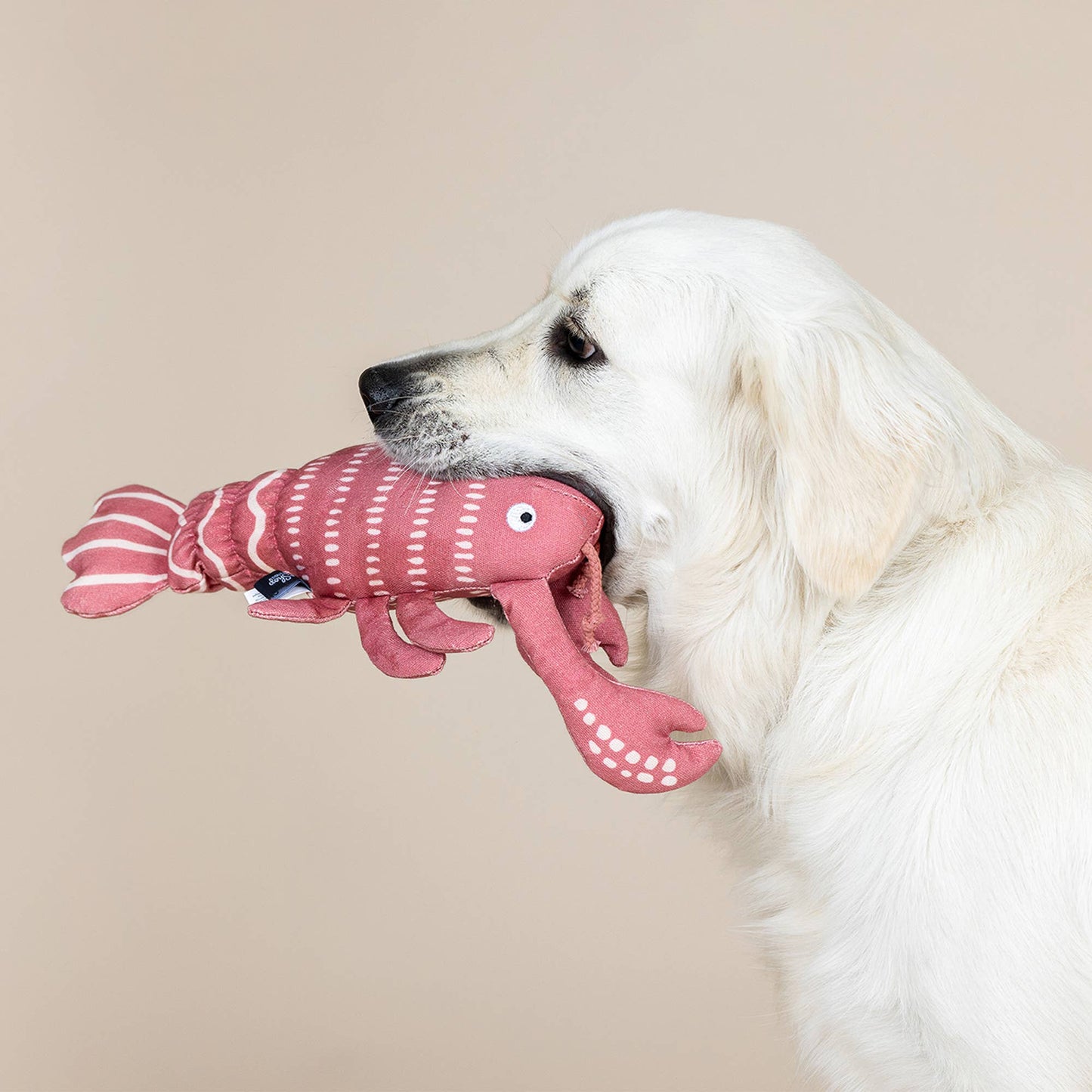 CLAW IT A DAY CANVAS DOG TOY