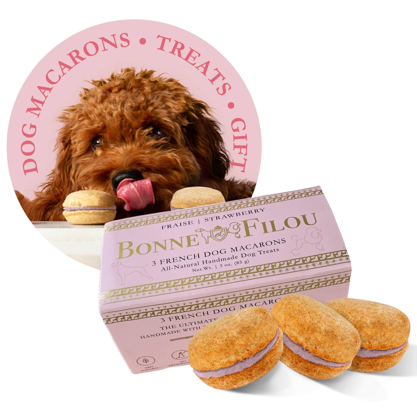 Bonne et Filou Dog Macarons | Pumpkin (3 count)