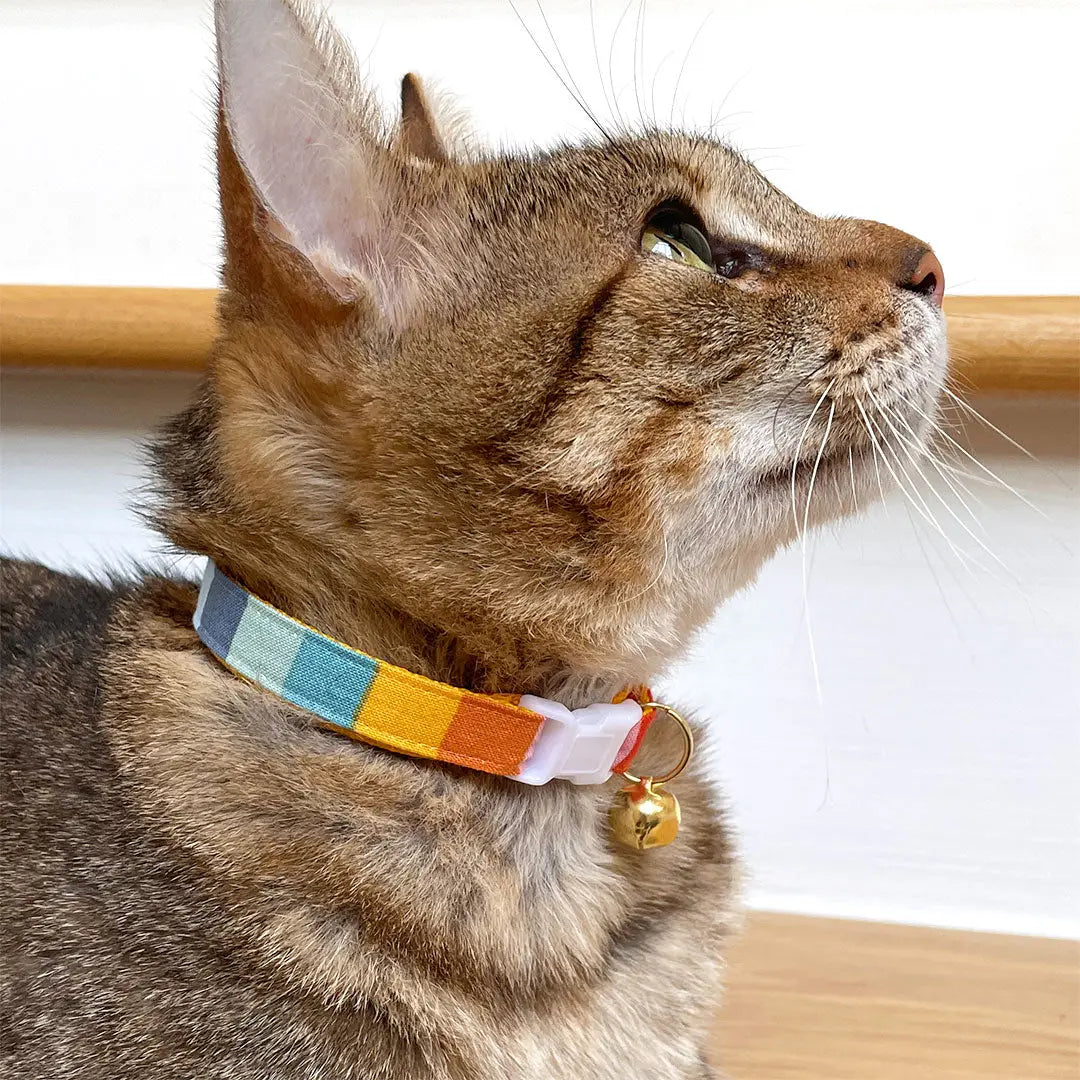 Carousel Striped Rainbow Cat Collar