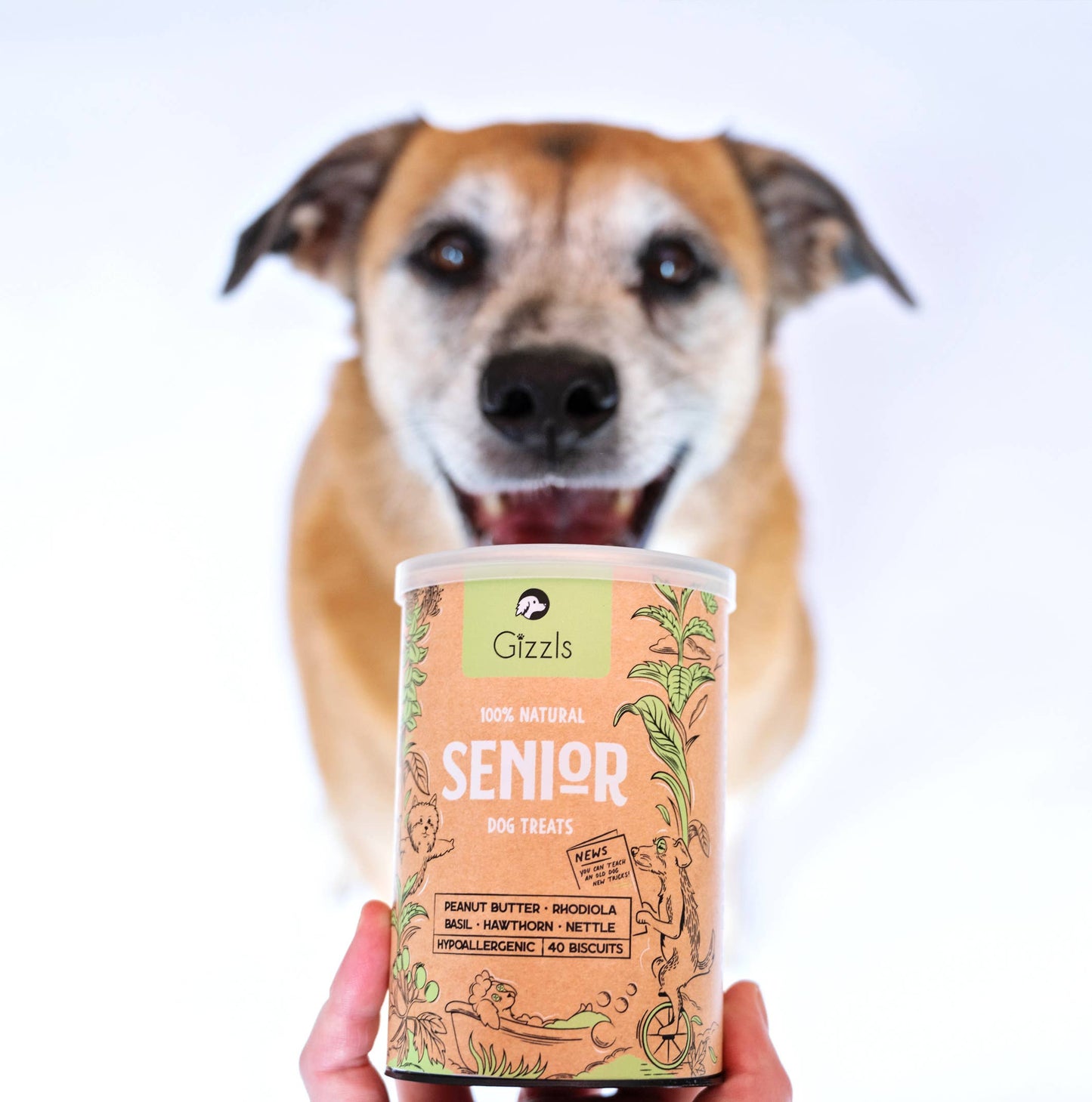 Gizzls 100% Natural Dog Treats for Seniors