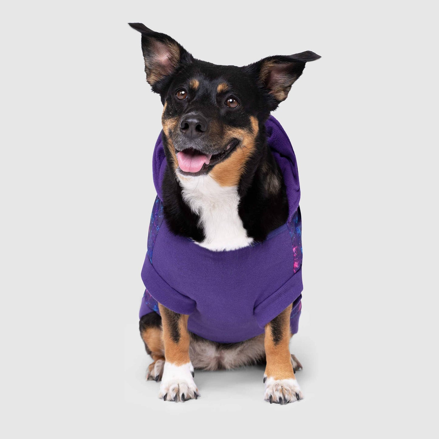 Prism Puffer- Dog Coat: Galaxy / 8