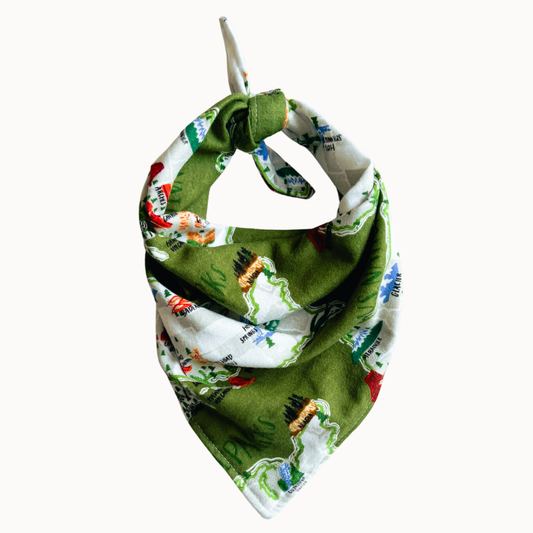 Parker Dog Bandana | National Parks Camping Adventure Scarf: Green / L