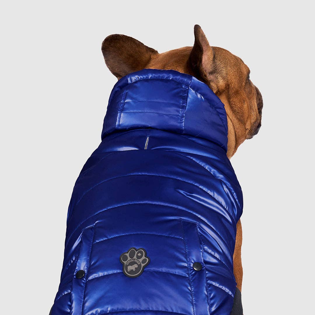 Shiny Puffer Vest- Dog Coat: Iridescent / 16