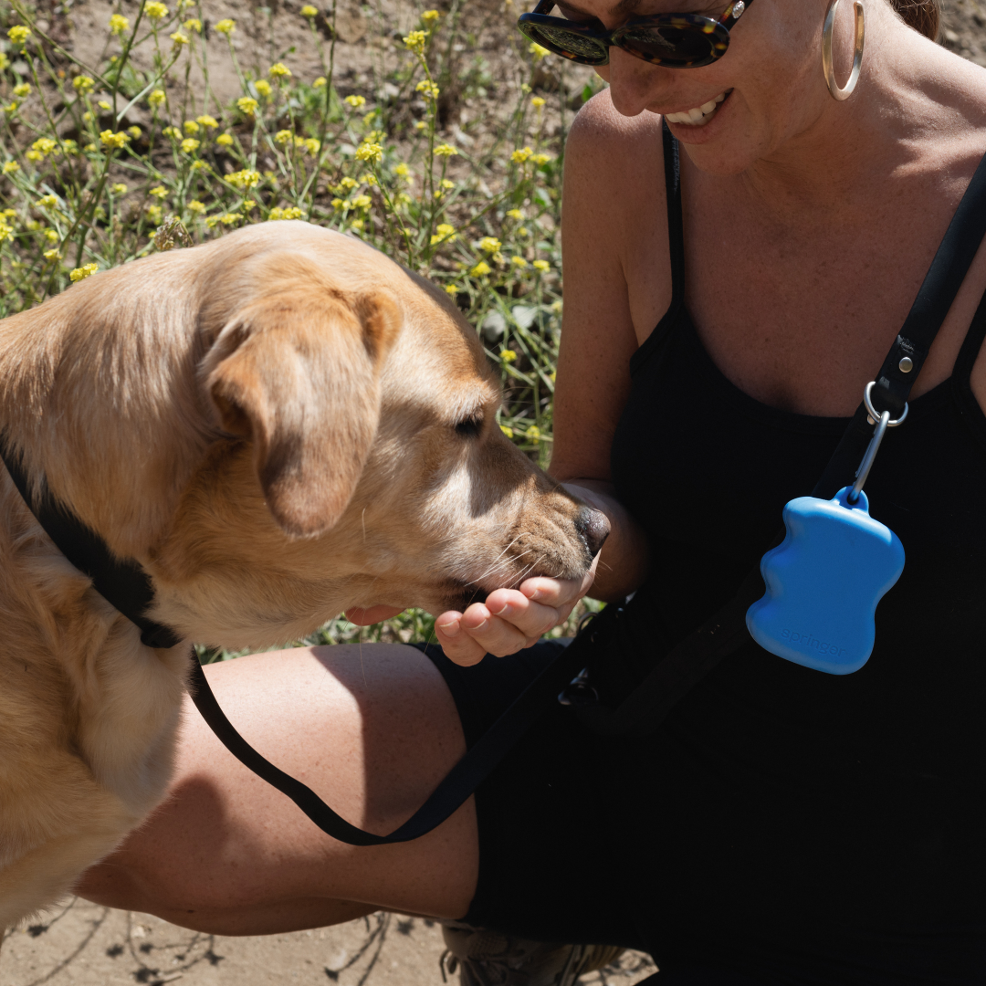 Squeeze Silicone Dog Treat Dispenser (Mixed 12 Pack)
