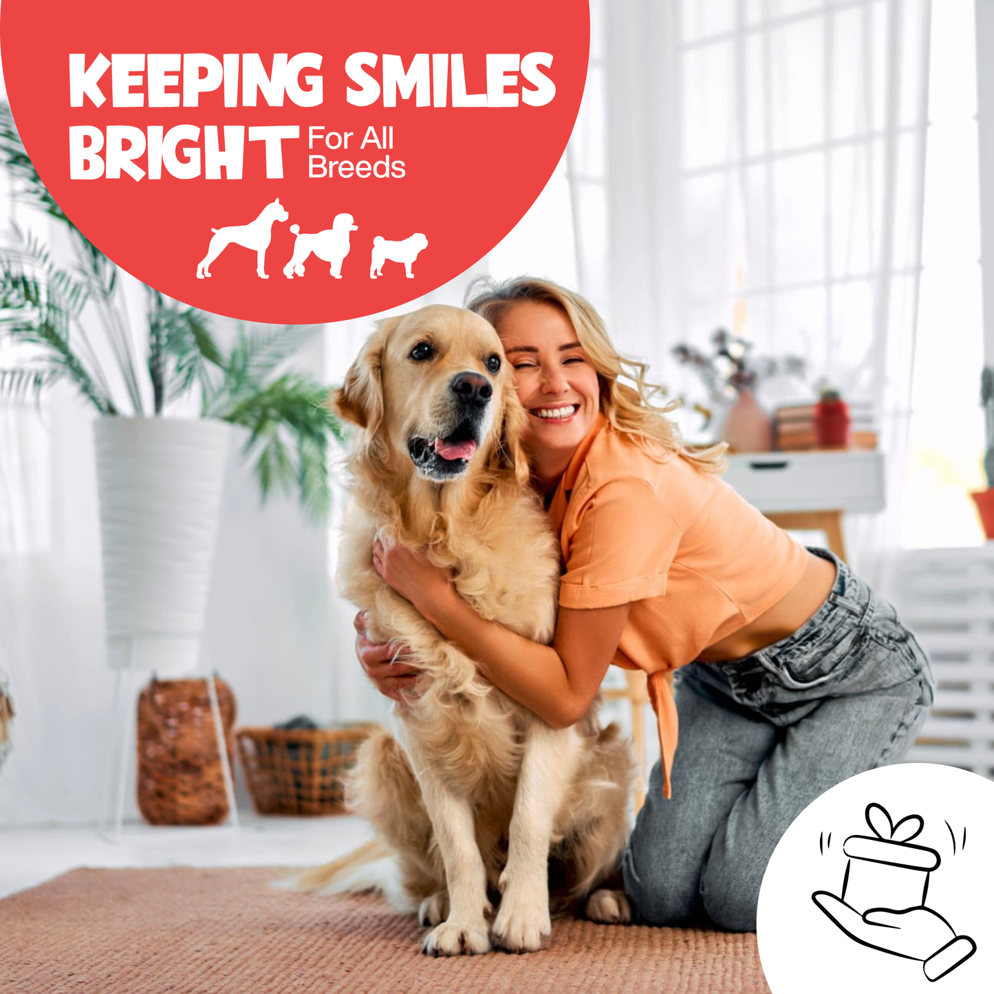 ROOFUS Dental Wipes – Gentle, Effective Oral Care for Dogs & Cats