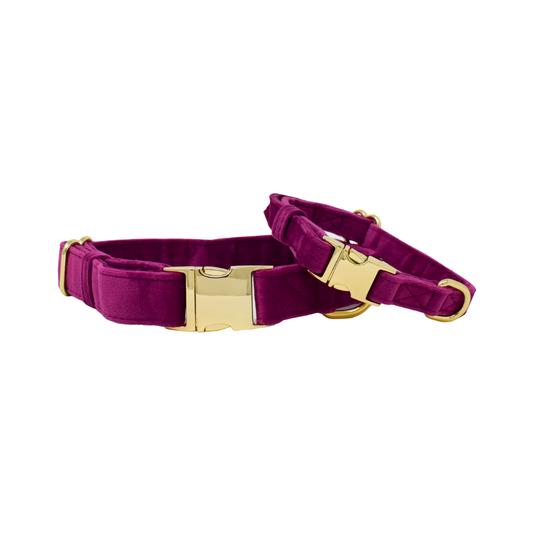 Purple Dog Collar