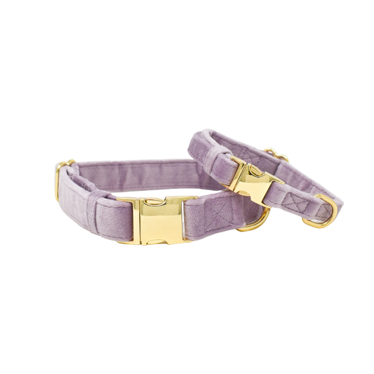 Lilac Dog Collar