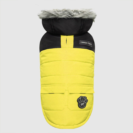 True North Dog Parka: Yellow / 20+