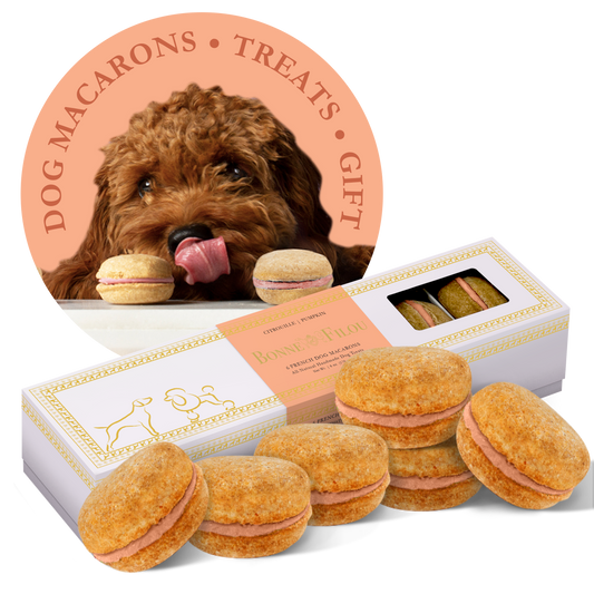 Dog Macarons - 6 Pack: Pumpkin