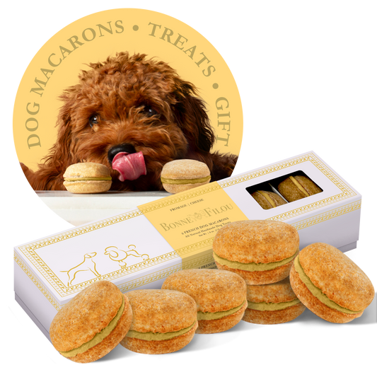 Dog Macarons - 6 Pack: Cheese