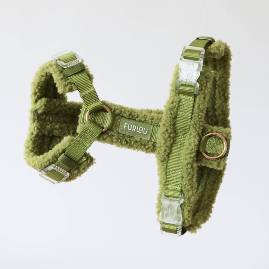Lime Green Sherpa Dog Harness
