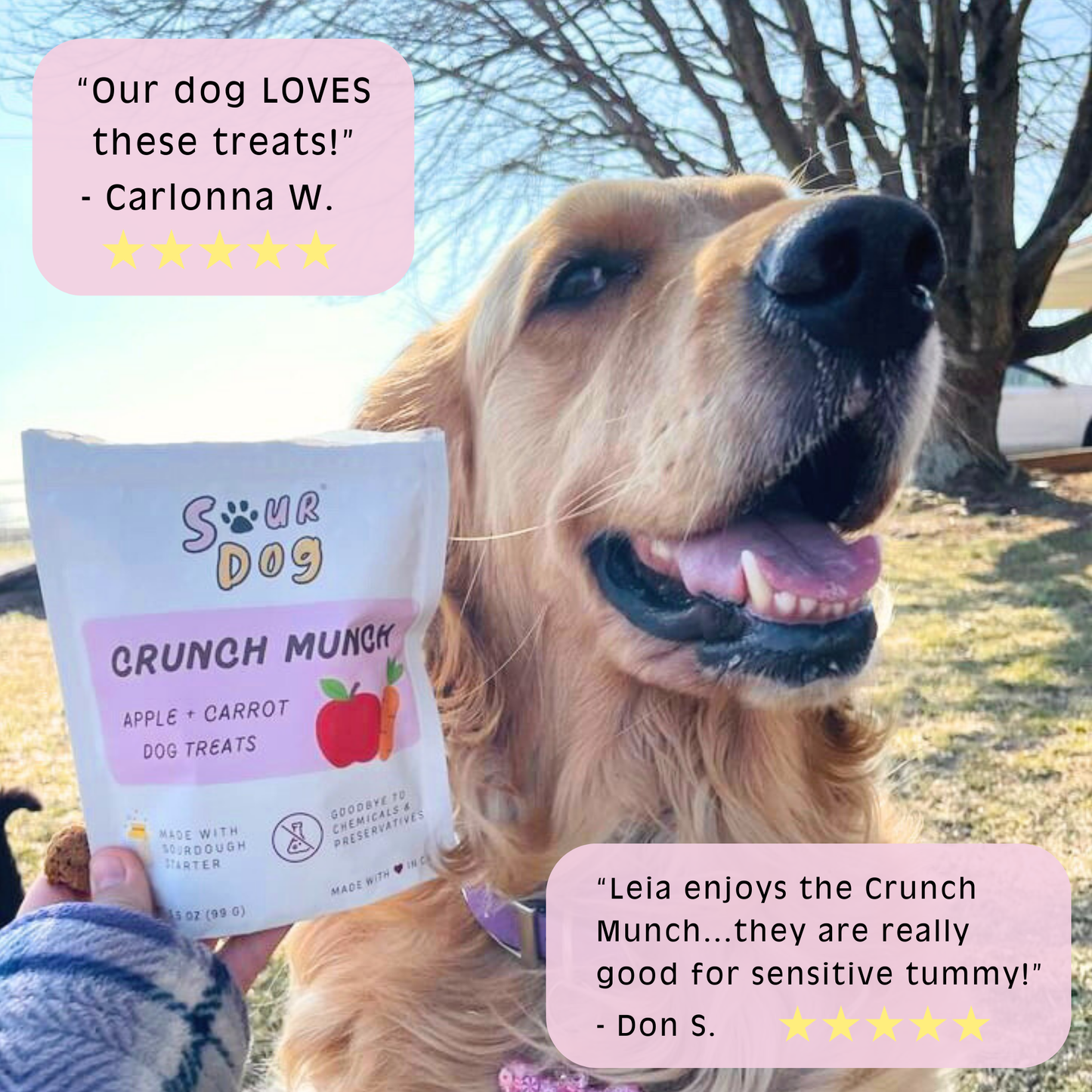 Crunch Munch - Apple & Carrot Sourdough Dog Treats