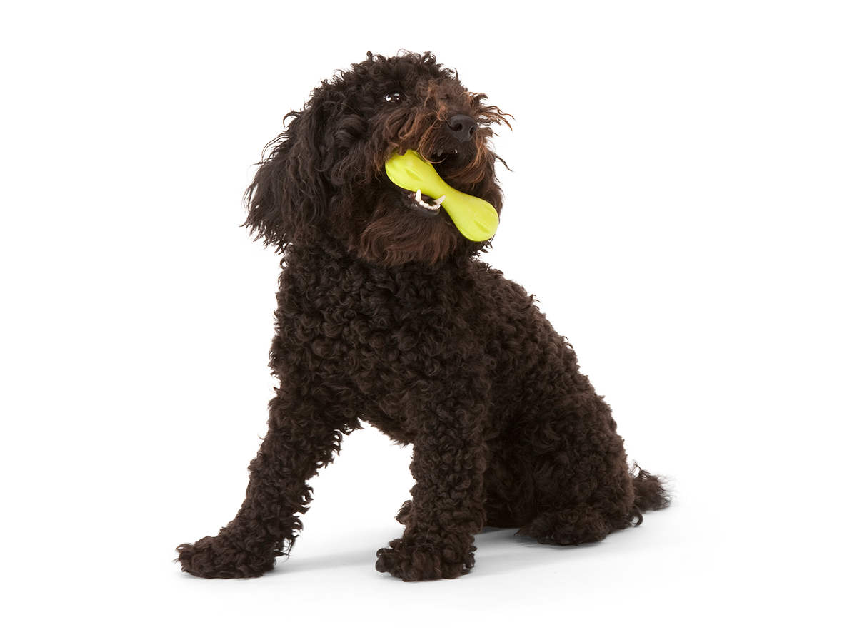 Hurley® Dog Toy for Chew, and Fetch: Granny Smith / S