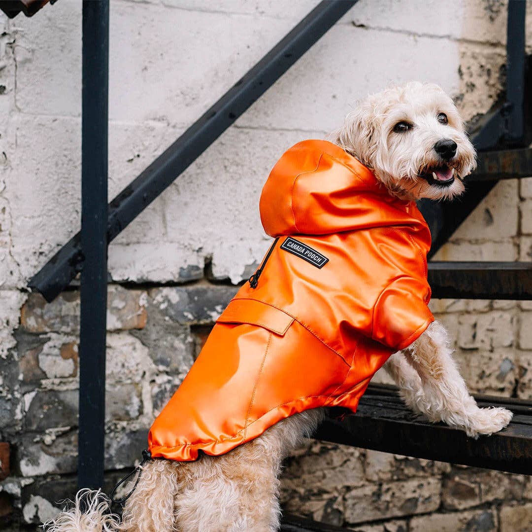 Cold Front Raincoat- Dog Raincoat: Orange / 14