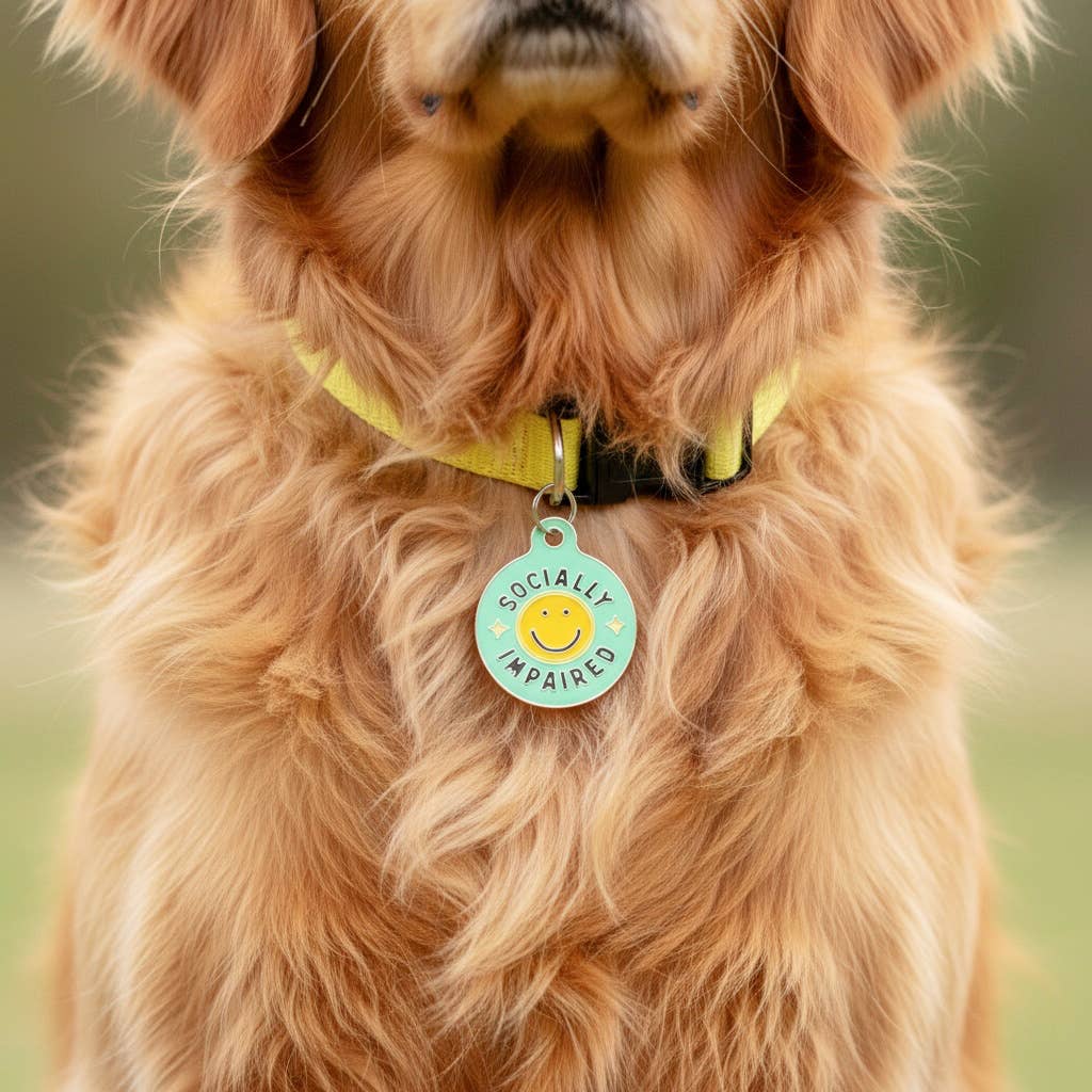 Dog Tag Scannable QR Code - Socially Impaired