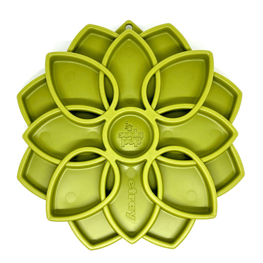 Mandala Enrichment Tray