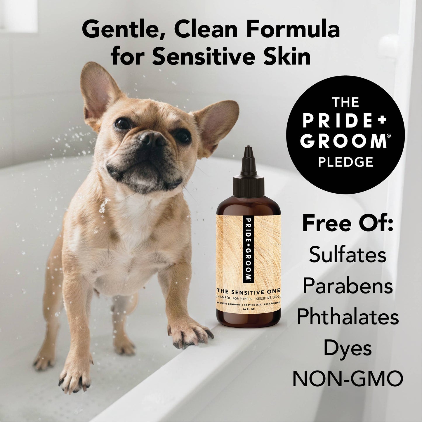 THE SENSITIVE ONE Shampoo, 12oz