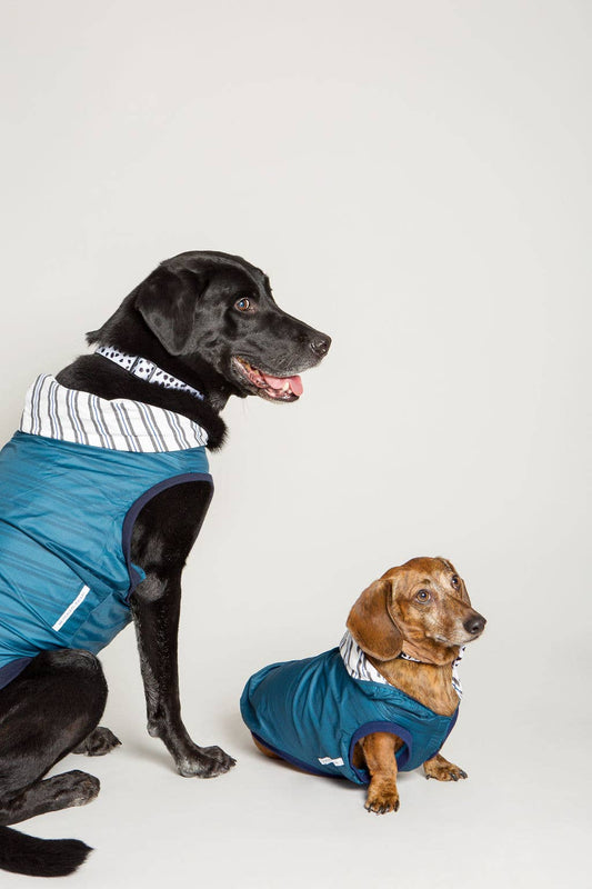 Dog Rain Jacket Jogger & Windbreaker - Teal Blue