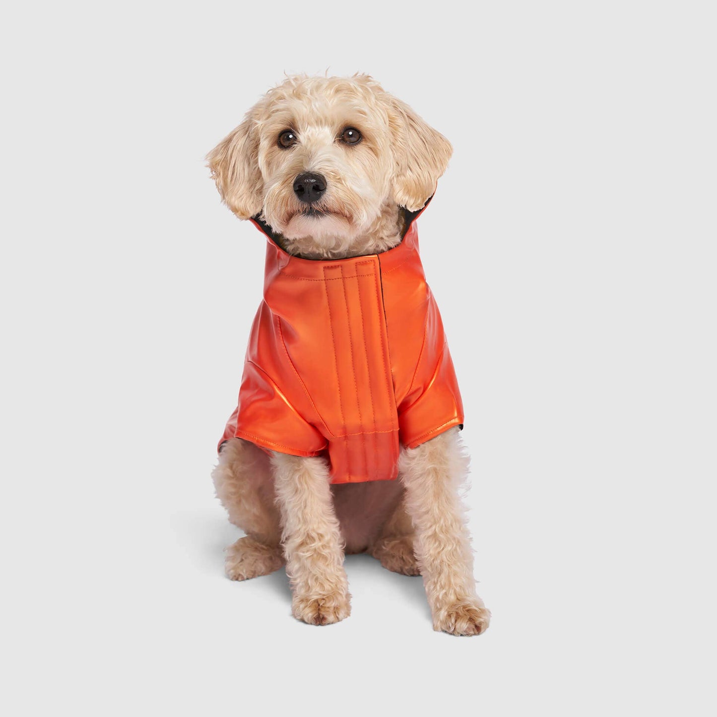 Cold Front Raincoat- Dog Raincoat: Orange / 14