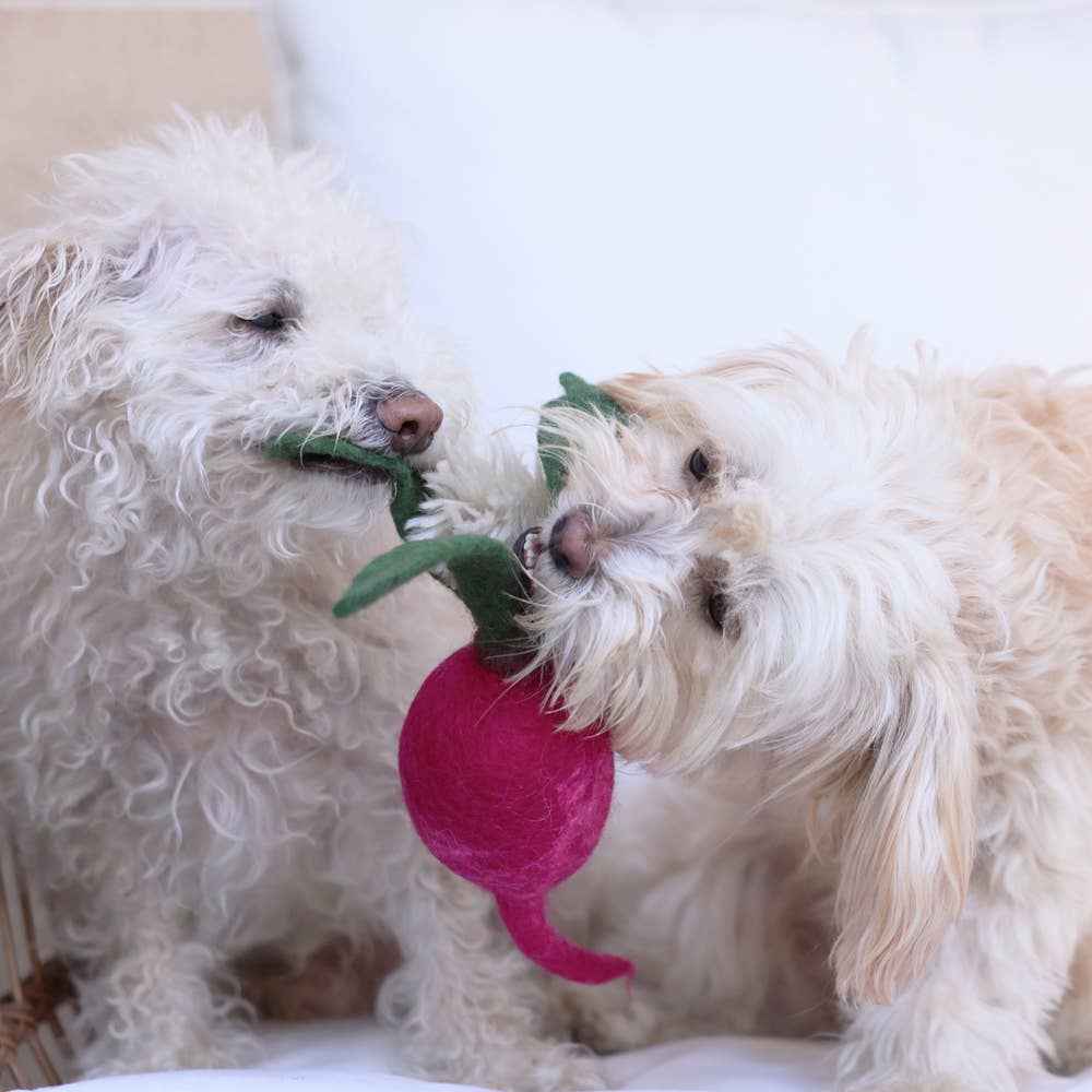 Wool Turnip Toy