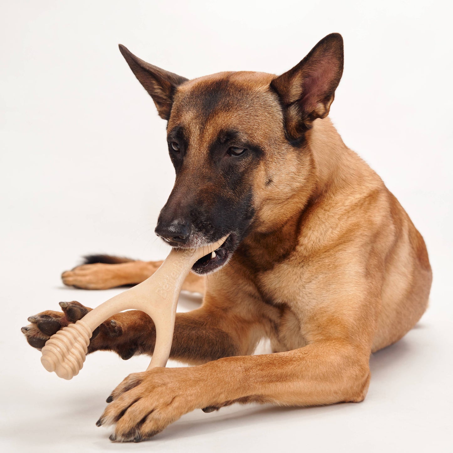 BetterBone MEDIUM - Natural, No Nylon, Softer Than Nylon ECO: Natural Venison / SMALL