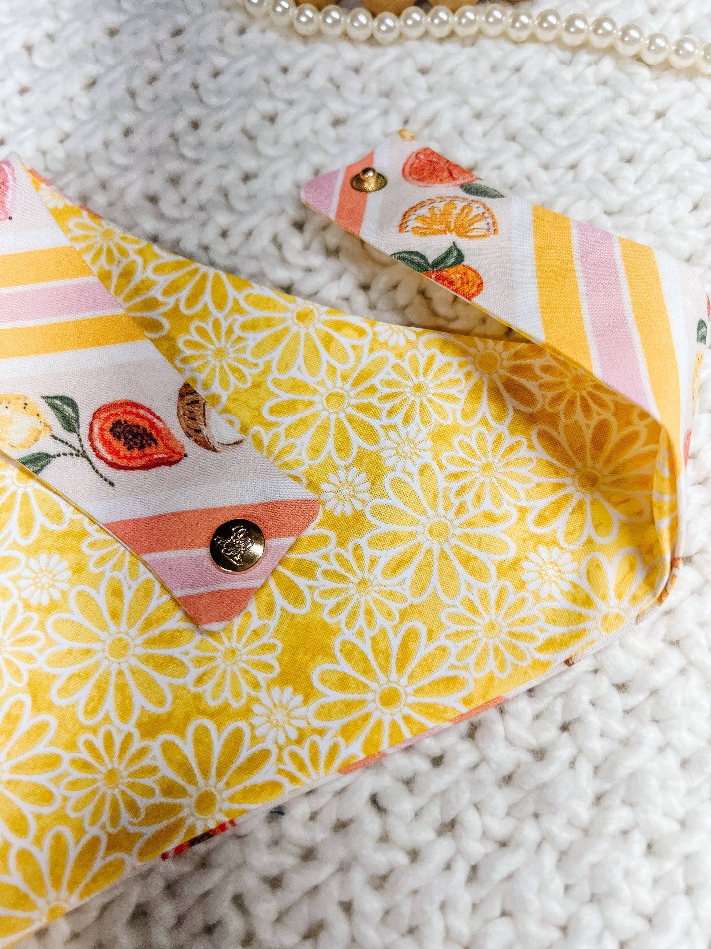 Fruit Snap-On Reversible Dog Bandana, Curved Neck: L