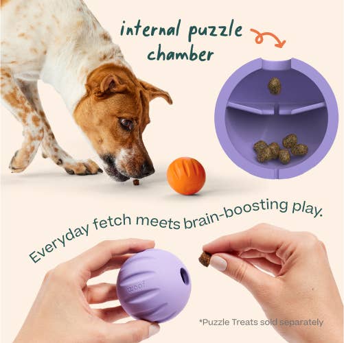 Flyball: Lavender