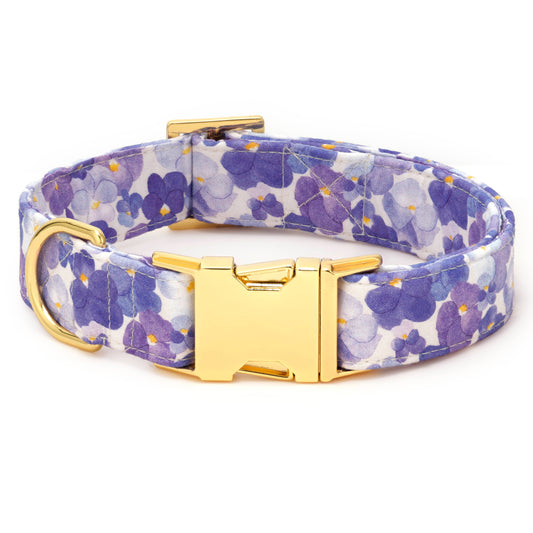 Pressed Pansies Dog Collar