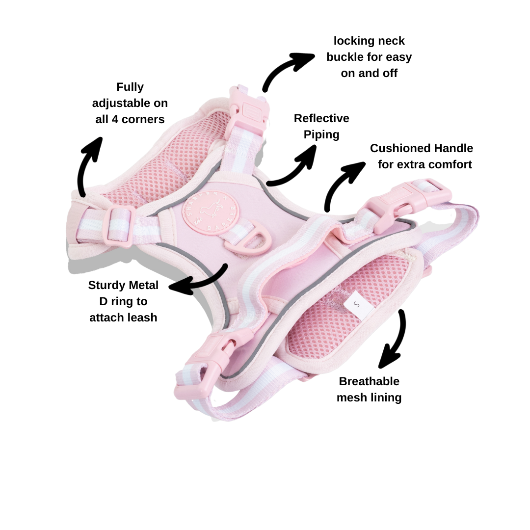 No Pull Comfort Dog Harness - Rose