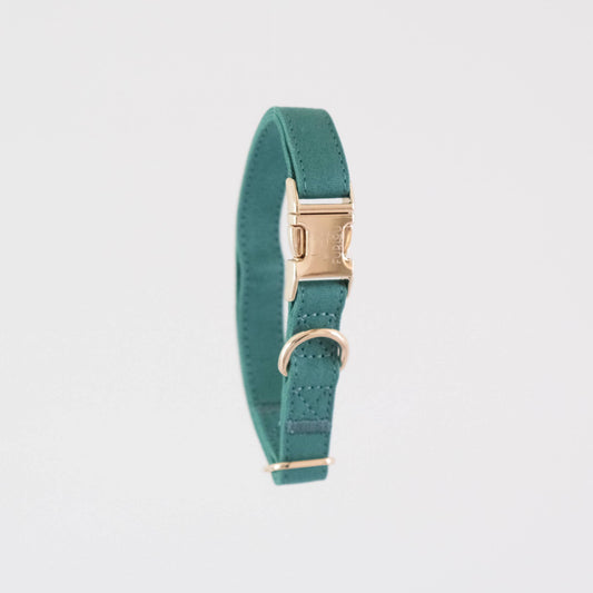 Teal Dog Collar