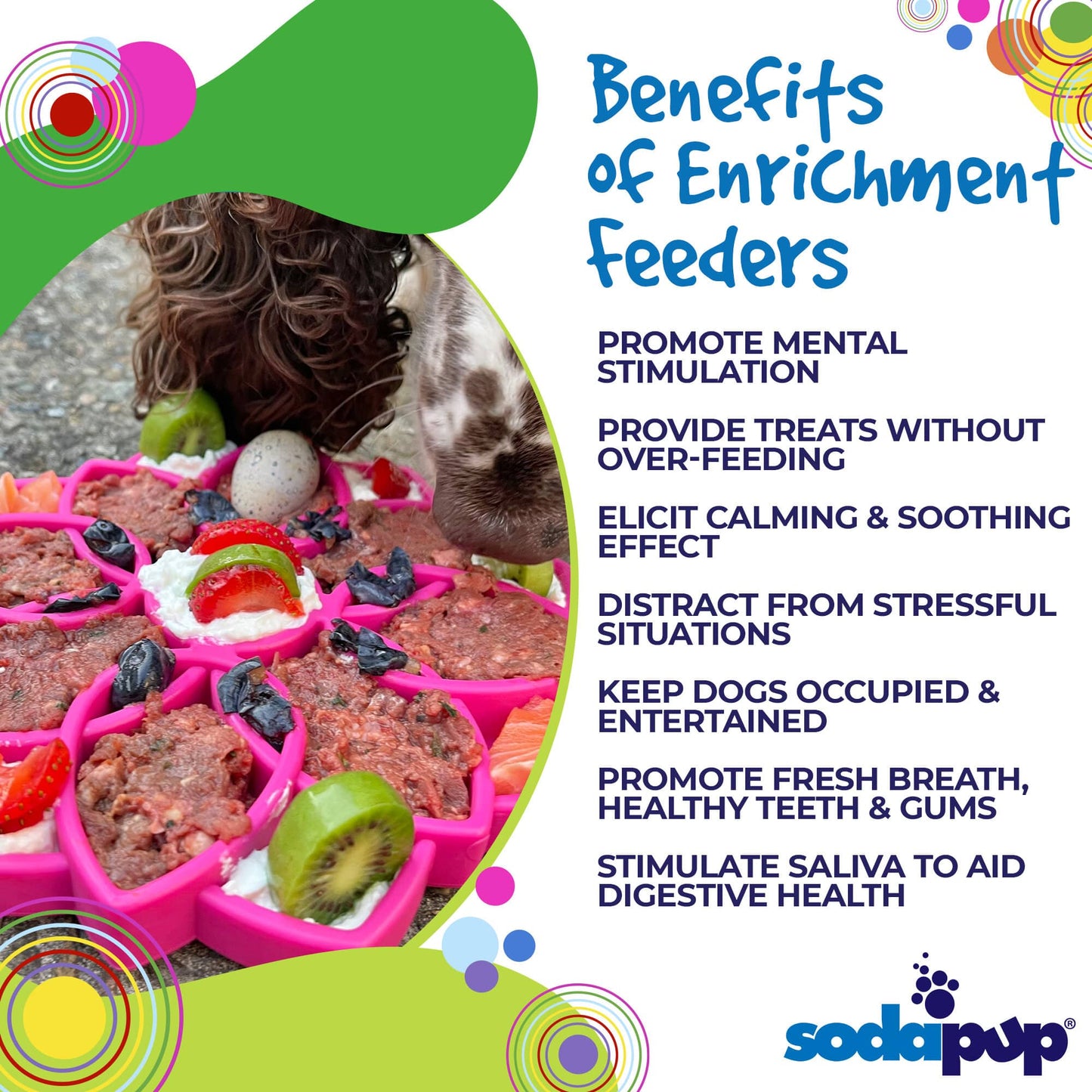 Mandala Enrichment Tray