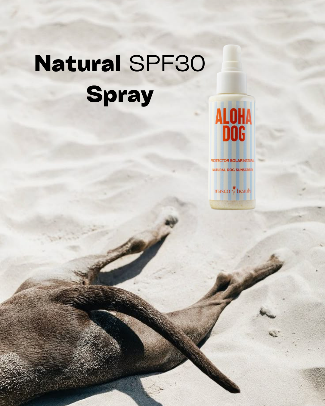 ALOHA DOG Natural Dog Sunscreen Spray SPF 30 – Dog Grooming