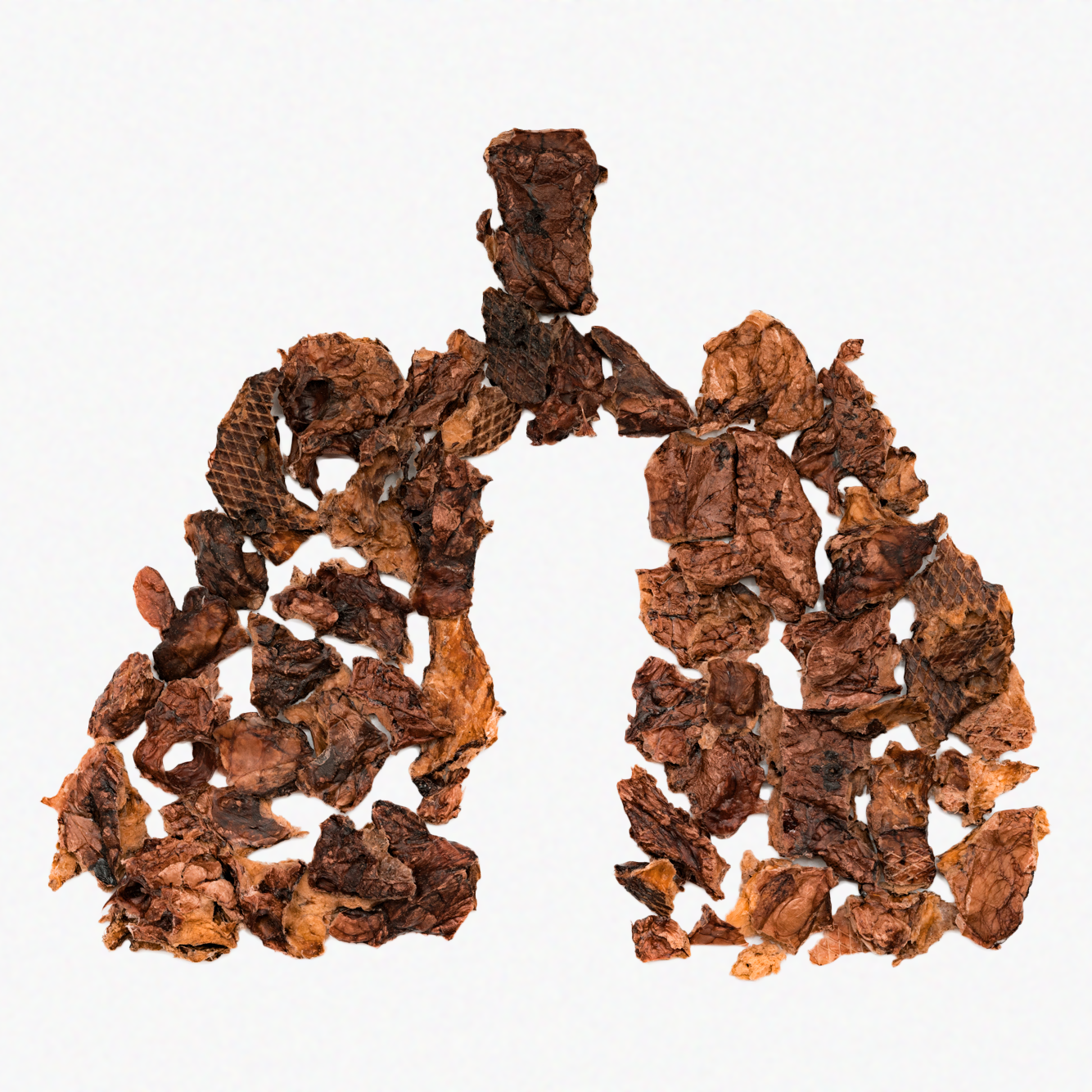 Dehydrated Beef Lung: 3 oz