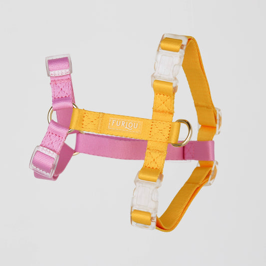 Yellow & Pink Dog Strap Harness