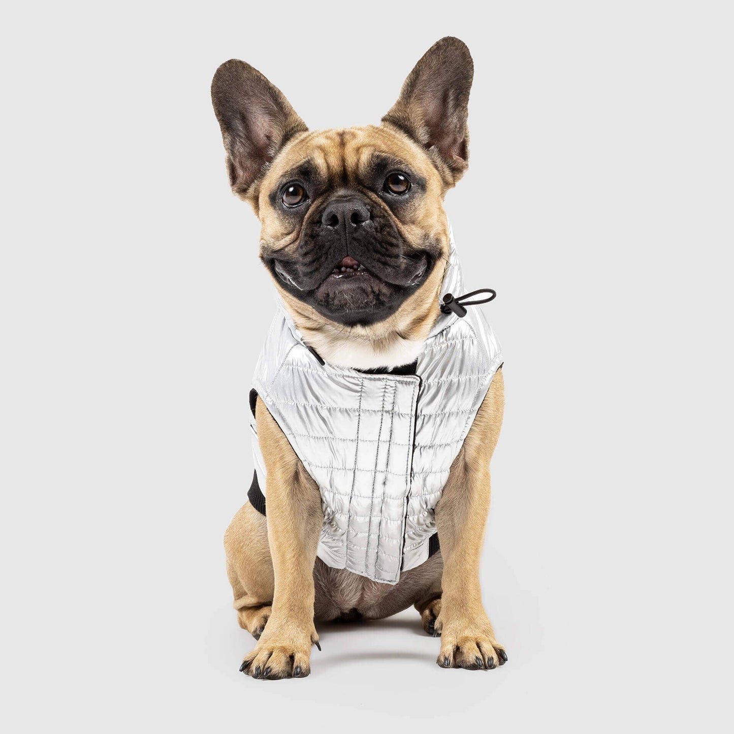 Shiny Puffer Vest- Dog Coat: Iridescent / 16
