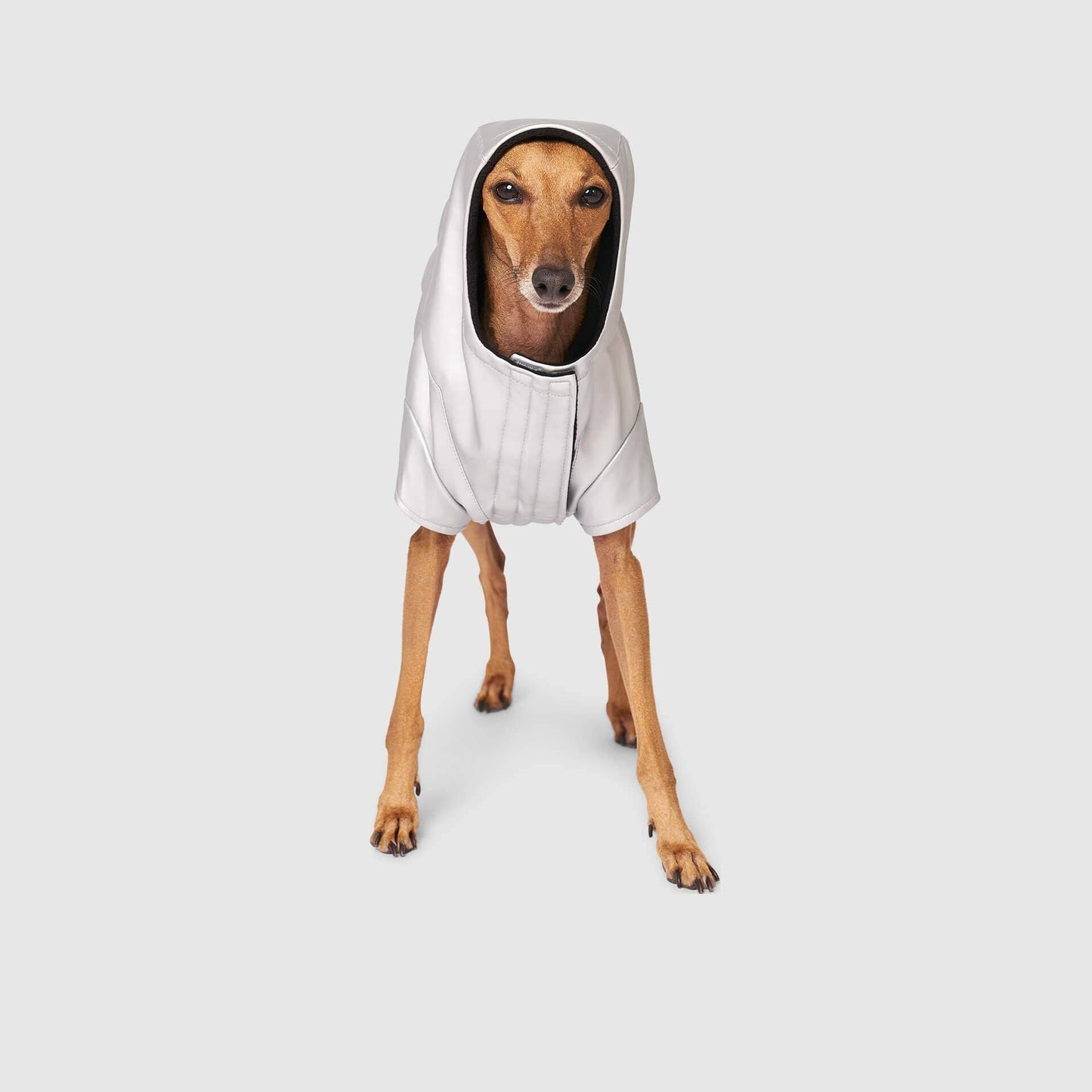 Cold Front Raincoat- Dog Raincoat: Orange / 14
