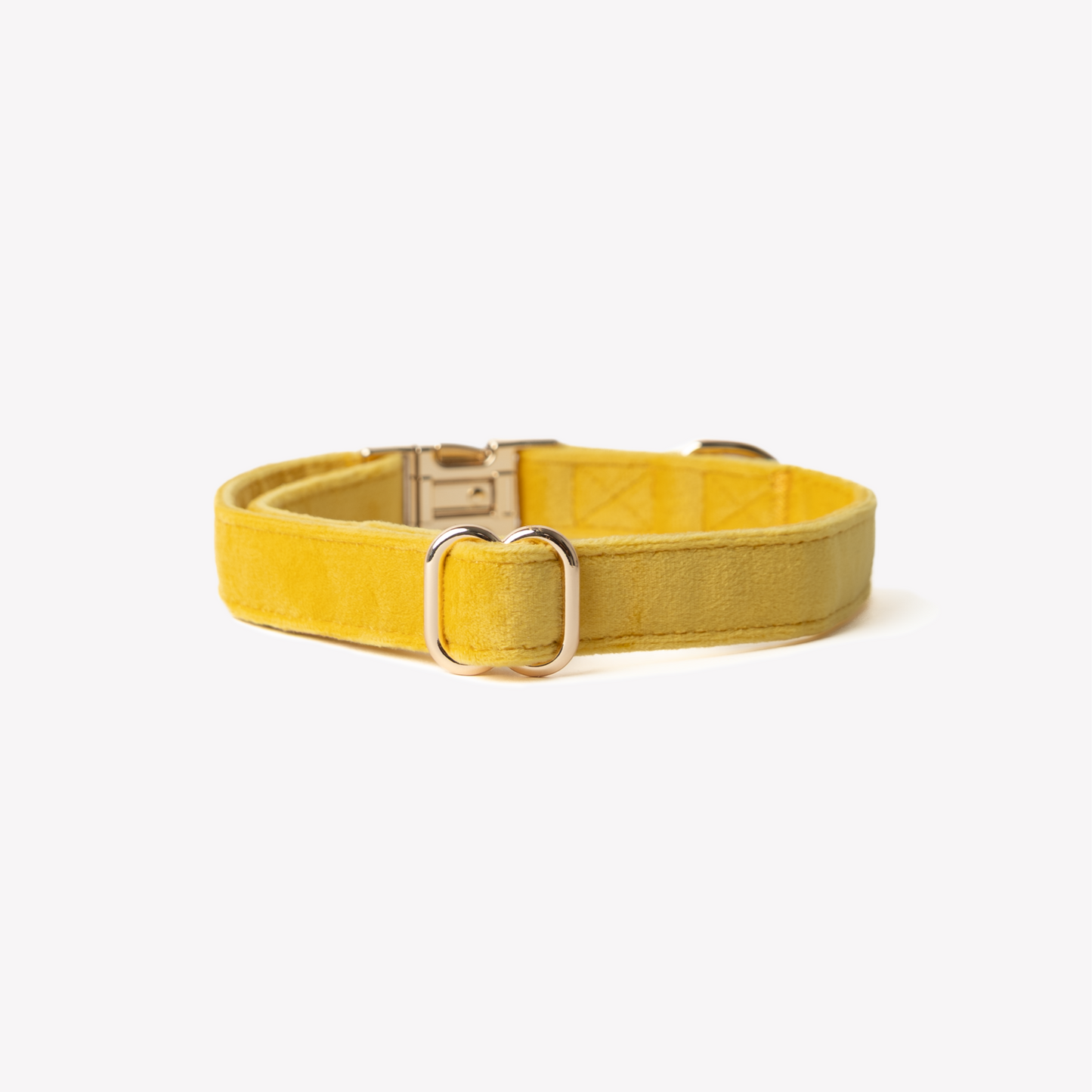 'Yellow' - Velvet Dog Collar: MEDIUM