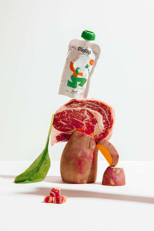 Organic Squeeze Pouch for Dogs - Bulk Pack