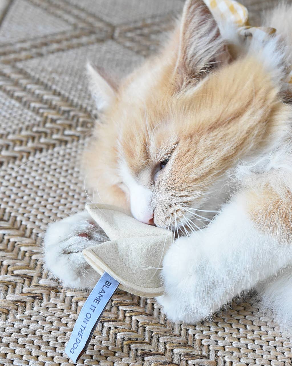 KITTY FORTUNE COOKIE Organic Catnip Cat Toy: The Time Is Right To Shred The Couch