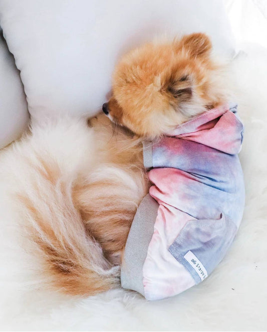 Tie Dye Dog Hoodie