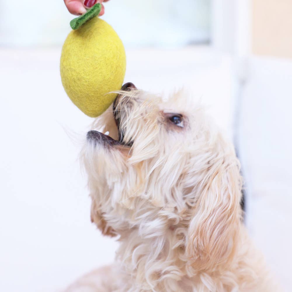 Wool Lemon Toy
