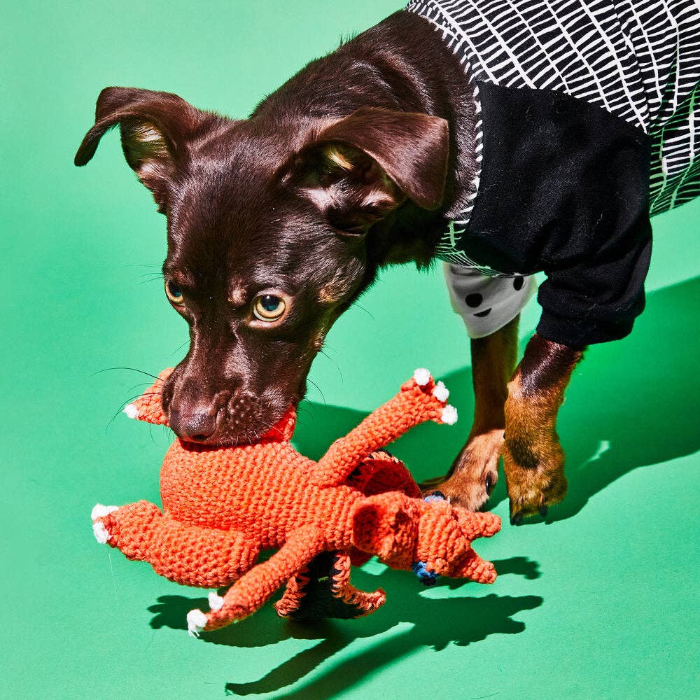 Hand Crochet Dragon Dog Toy: Large