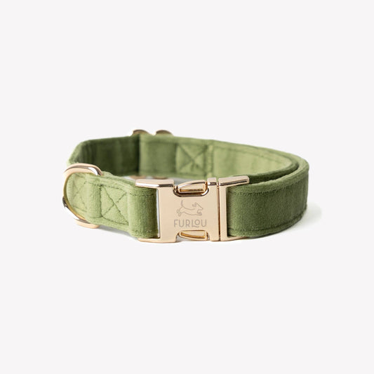 'Green' - Velvet Dog Collar: MEDIUM