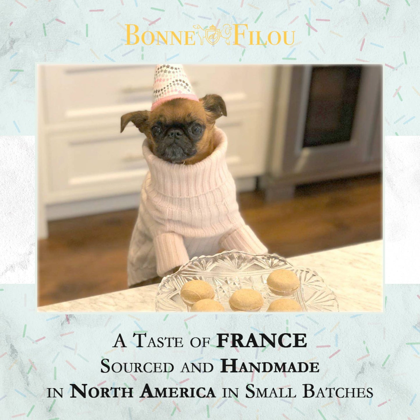 Bonne et Filou Dog Macarons | Pumpkin (3 count)