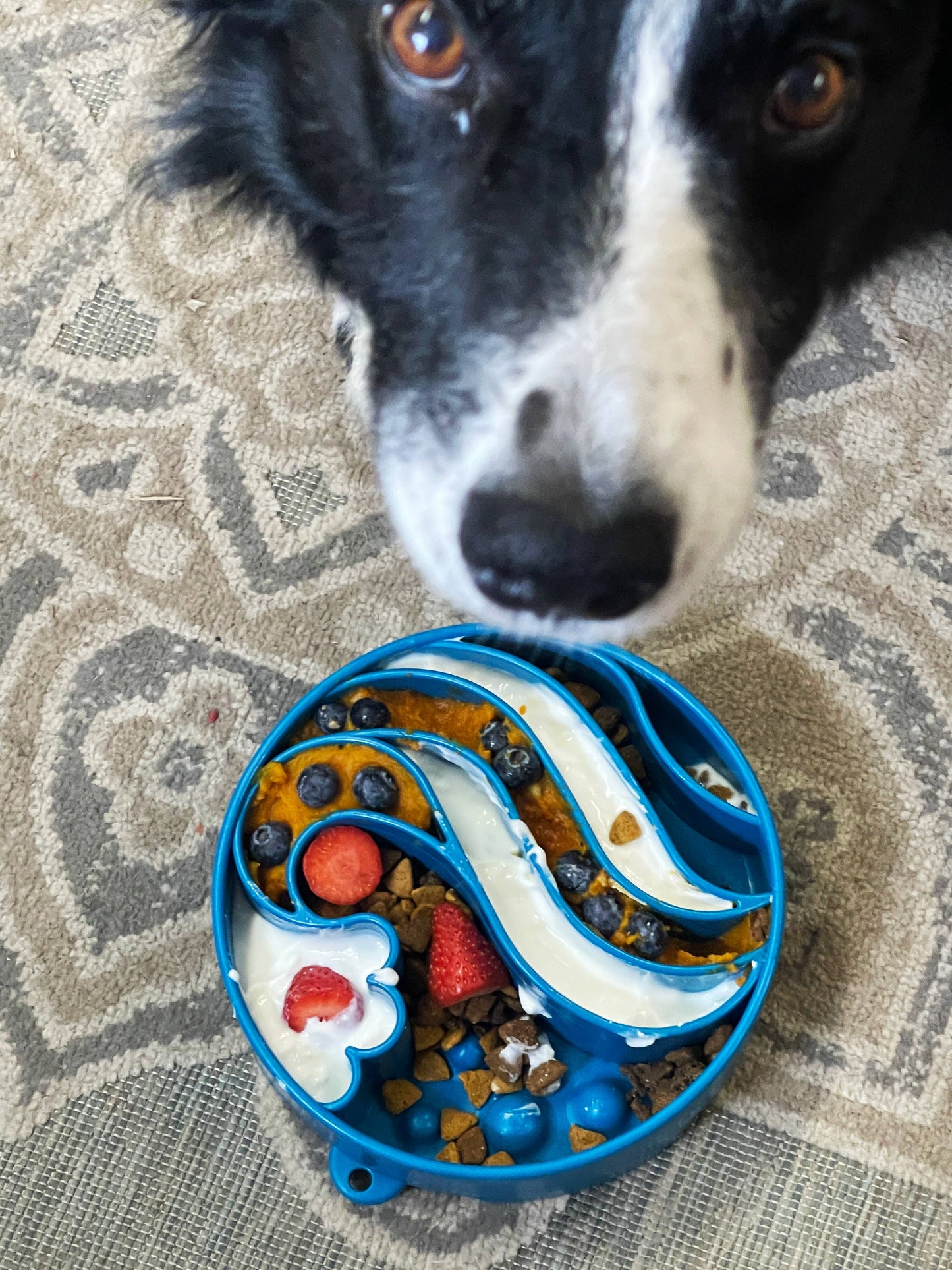 Wave Design Enrichment Slow Feeder Bowl